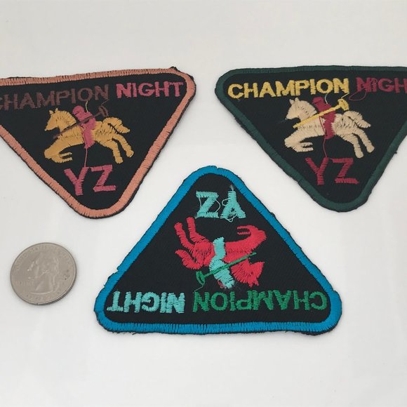 Iron On Patches Lot of 3 Champion Night Embroidery - Picture 2 of 8